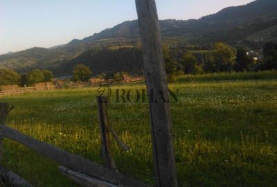 Teren intravilan 5360mp Bistrita Nasaud | Tiha Bârgăului - 8