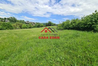 Teren intravilan in Campina--4355mp--28.500 euro - 1