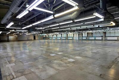 Hala de inchiriat in Marghita pentru productie si depozitare, Bihor - 3