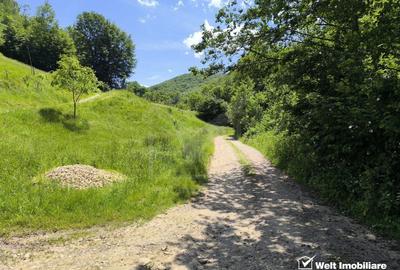 Teren extravilan, 1423 mp, Huta, com. Chiuesti, jud. Cluj, pt. investitie - 2