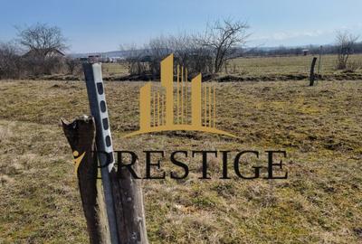 TEREN DE VÂNZARE 1000 MP ȘELIMBĂR ZONA TROIȚĂ | INVESTIȚIE - 6