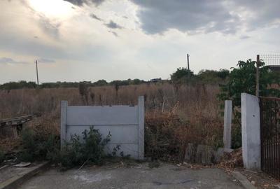 Lot teren 80000 mp Otopeni Sud Est dezvoltare sau lotizare - 4
