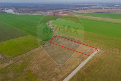 Teren intravilan 10.000 mp în Zona Industrială Sud Arad - 6