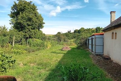 DE vanzare casa curte comuna in Cristesti - 4