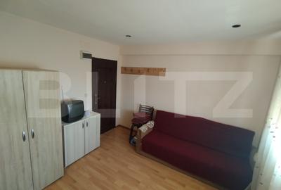 Garsoniera 16 mp, Calea Severinului, in spatele Brico Depot - 1