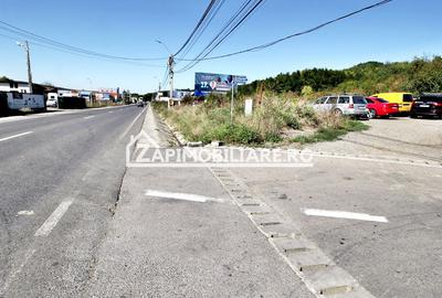 Teren intravilan 16.500mp 55euro mp deschidere de 82m la E60 - 4