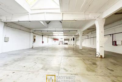 Hala industriala 675 mp, Arad central, acces TIR ideal depozit logitic - 1