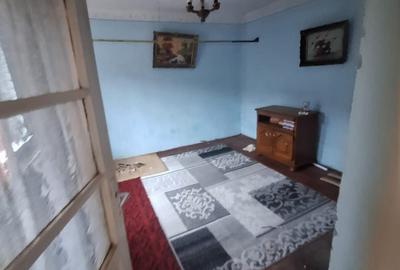 Km. 5 - Viile Noi, casa 4 camere, libera, pe colt - 6