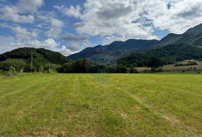 Teren de vanzare  Intravilan 19.341 mp – Cheile Râșnoavei, Parcelabil - 8