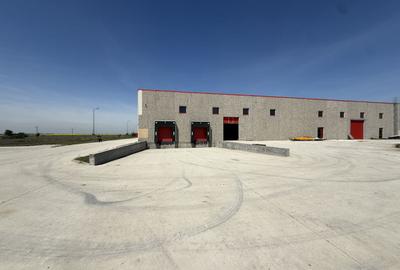 De vanzare parc logistic premium – randament imediat - Chitila - 8