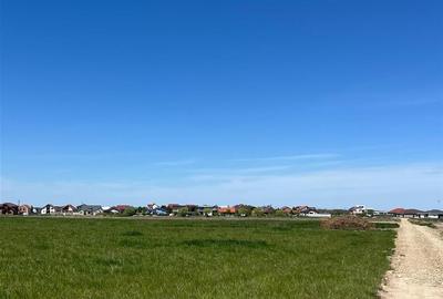 RECO teren intravilan Sanmartin - 6