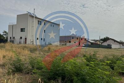 Parcele de teren/Str Ficusului/Damila/Craiova - 4