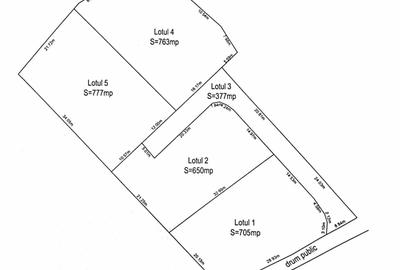 Teren intravilan 763 mp in zona Bran-Tohanita,judetul Brasov - 12