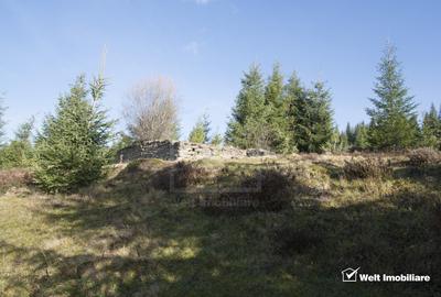 Eco Retreat Land in Apuseni Romania - Poiana Horea - 11