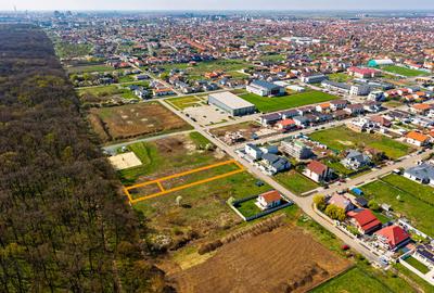 Teren construibil Dumbravita | langa Padurea Verde | Comision 0% - 4