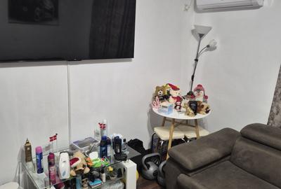 VITAN-APARTAMENT MOBILAT 50 MP-LANGA PARCUL TEILOR - 4