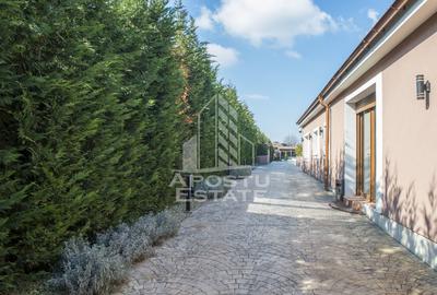 Vila,Piscina,teren fotbal,gradina,vegetatie - 27