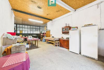 Hală industrială cu multiple destinații în Nădlac - 20