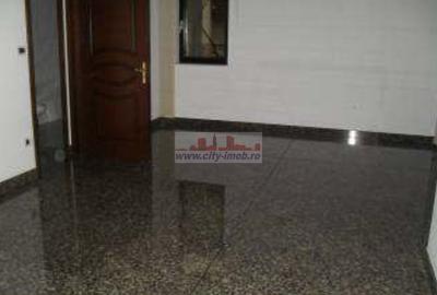 Inchiriere Vila Iancu Nicolae Gradinita, Clinica Medicala - 6