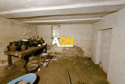 Casa 3 camere, 489 mp teren, acces la 2 strazi, zona ultracentrala - 12