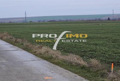 Teren agricol extravilan de 4200 mp, în Corbu