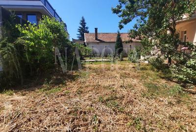 Casa 7 camere de inchiriat in Gruia, Cluj Napoca - 10