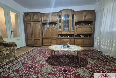 Casa de vanzare in Cugir 959 mp teren - 5