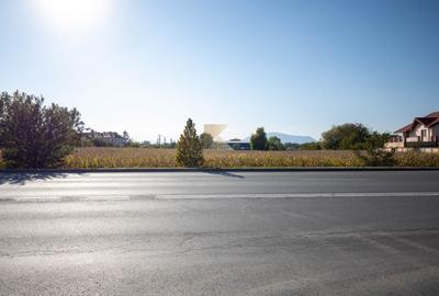 Teren intravilan | 20500 mp | PUZ | multiple destinatii | Stupini - 6