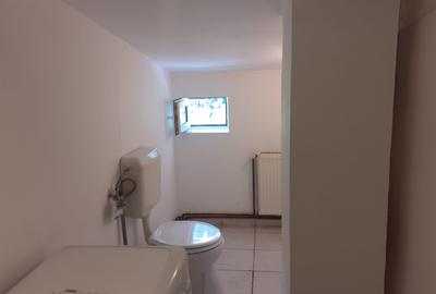 Vanzare casa  individuala - Zona Aviatorilor - Clucerului - 17