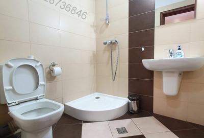 Cismigiu, bloc nou 2009, parter, 109 mp - 13