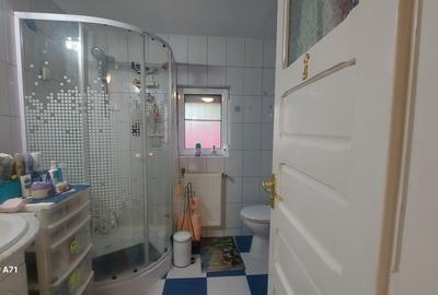 Snagov- Gruiu- Santul Floresti -Proprietate cu stil pentru oameni gospodari! - 27