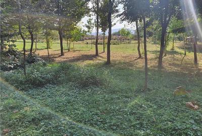 Teren intravilan Sacel -zona lacuri -ultimul lot de 900mp - 11