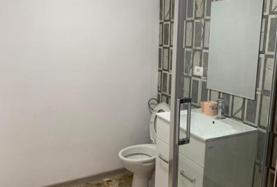 Casa individuala cu 16 camere de inchiriat, zona Sag - 15