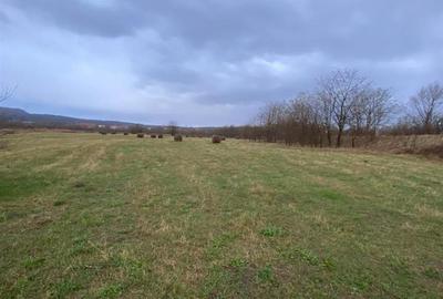 Caransebes, Teren Drept 5087 Mp. Ideal pt Casa 20 Euro Mp. Racovita - 3