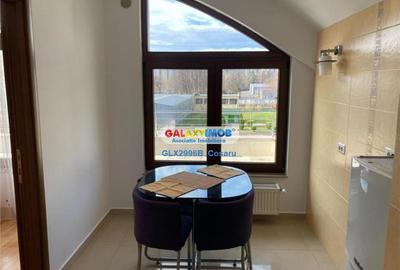 APARTAMENT 3 CAMERE DE INCHIRIAT RAHOVA 13 SEPTEMBRIE DRUMUL SARII - 11