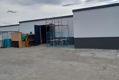Spatiu industrial de vanzare, 8120 mp, Neamt - 12