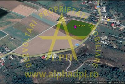 Bacau com. Tamași teren intravilan 21643 mp - 7