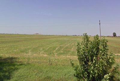 Teren Construcții extravilan de 12000 mp, în Grădiște