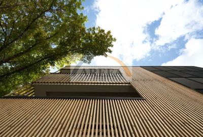 SPLENDID SI RAR - de vanzare DUPLEX LUX in Dorobanti - 36