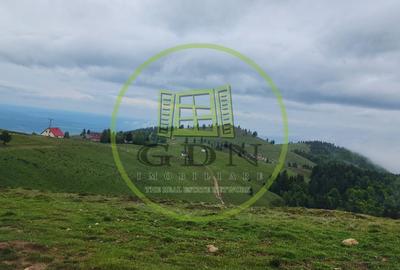 Parcele de vis în munți – Zonă Arka Park, cu drum de acces și PUZ aprobat - 3
