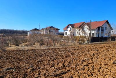 Teren intravilan 13175mp utilitati Ciolpani Strada Alunisului - Padurea Snagov - 2