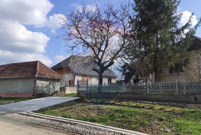 Casa cu Anexe si teren 49 ari de vanzare Oarta de Jos