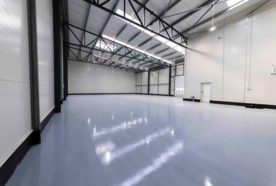 Spațiu industrial, în Theodor Pallady