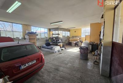 Oportunitate afacere: Spatiu industrial + Casa de locuit - Bogdanestilor - 29