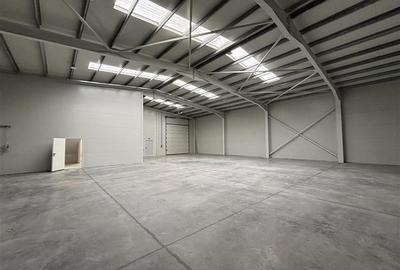 Inchiriere depozit/hala/spatiu industrial Chiajna - Chitila - Rudeni - 10