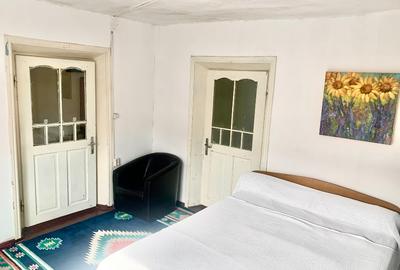 Potențial pensiune / investiție / casa de vacanță - 8