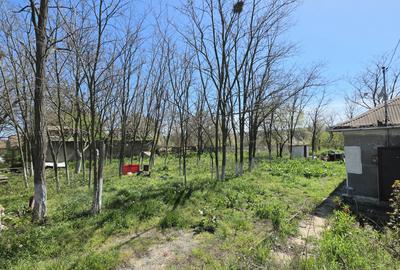 Teren intravilan 2760 MP in Sibioara, Jud. Constanta, ideal pentru investitie - 4