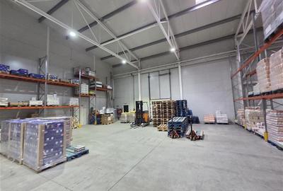 Inchiriere depozit frigorific congelare/hala/spatiu industrial Otopeni - Centura - 27
