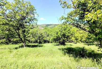 Teren Construcții intravilan de 2000 mp, în Suceagu