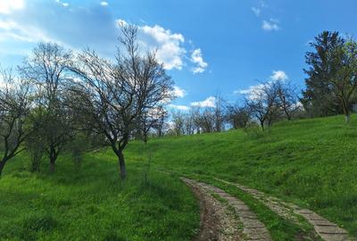 Moșia cu casa în vârf de deal, Scorțeni - Prahova, comision 0% - 16